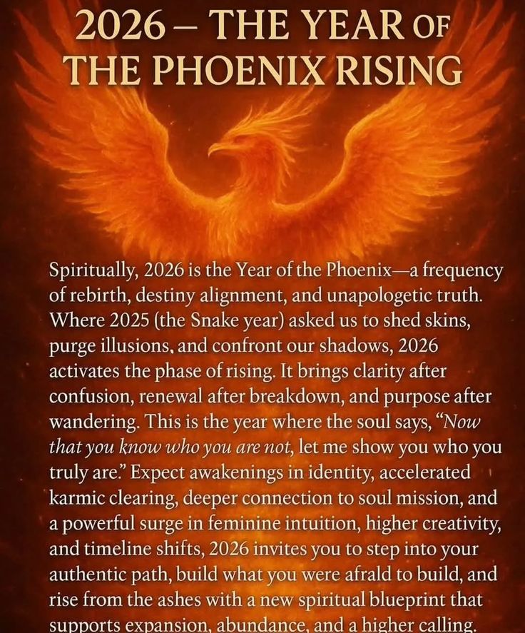 Year of the Phoenix Rebirth